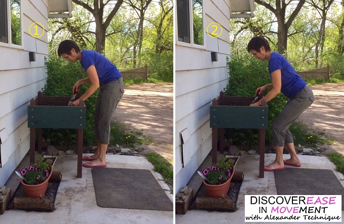Discover ease in gardening